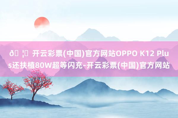 🦄开云彩票(中国)官方网站OPPO K12 Plus还扶植80W超等闪充-开云彩票(中国)官方网站