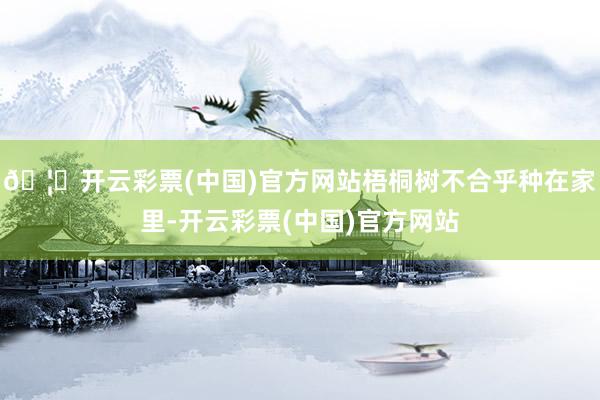 🦄开云彩票(中国)官方网站梧桐树不合乎种在家里-开云彩票(中国)官方网站