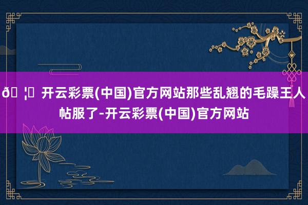 🦄开云彩票(中国)官方网站那些乱翘的毛躁王人帖服了-开云彩票(中国)官方网站