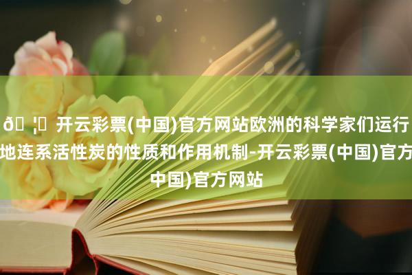 🦄开云彩票(中国)官方网站欧洲的科学家们运行系统地连系活性炭的性质和作用机制-开云彩票(中国)官方网站