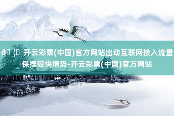 🦄开云彩票(中国)官方网站出动互联网接入流量保捏较快增势-开云彩票(中国)官方网站