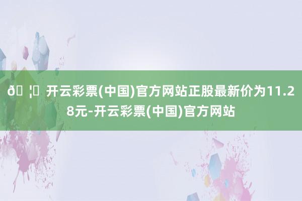 🦄开云彩票(中国)官方网站正股最新价为11.28元-开云彩票(中国)官方网站