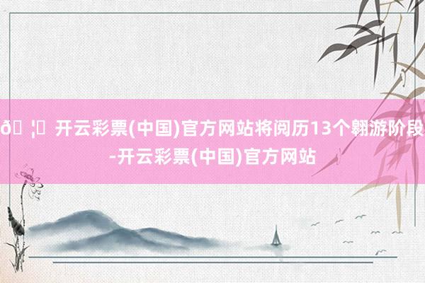 🦄开云彩票(中国)官方网站将阅历13个翱游阶段-开云彩票(中国)官方网站