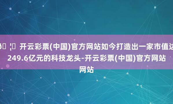 🦄开云彩票(中国)官方网站如今打造出一家市值达249.6亿元的科技龙头-开云彩票(中国)官方网站